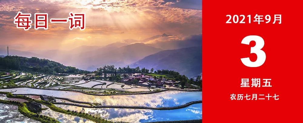 每日一词|标准地图