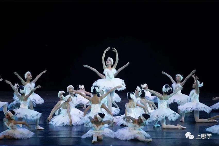 上海三所自主招生公立小学,上海公立小学不在招生范围怎么进