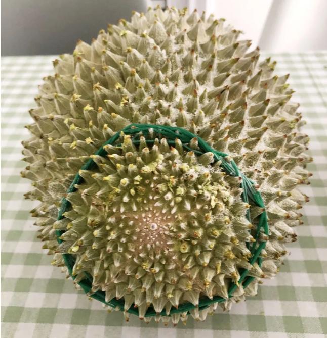 热带水果榴莲,热带水果之王是什么