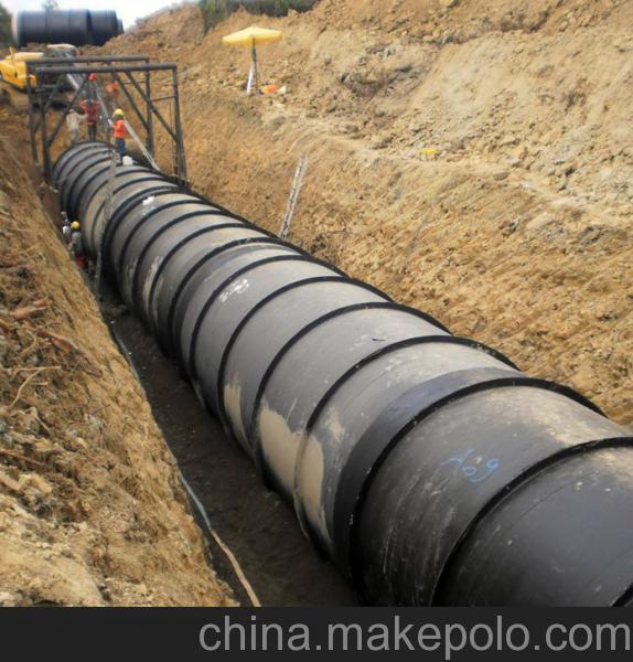 2023年水利工程建设项目,城市供水工程项目概况