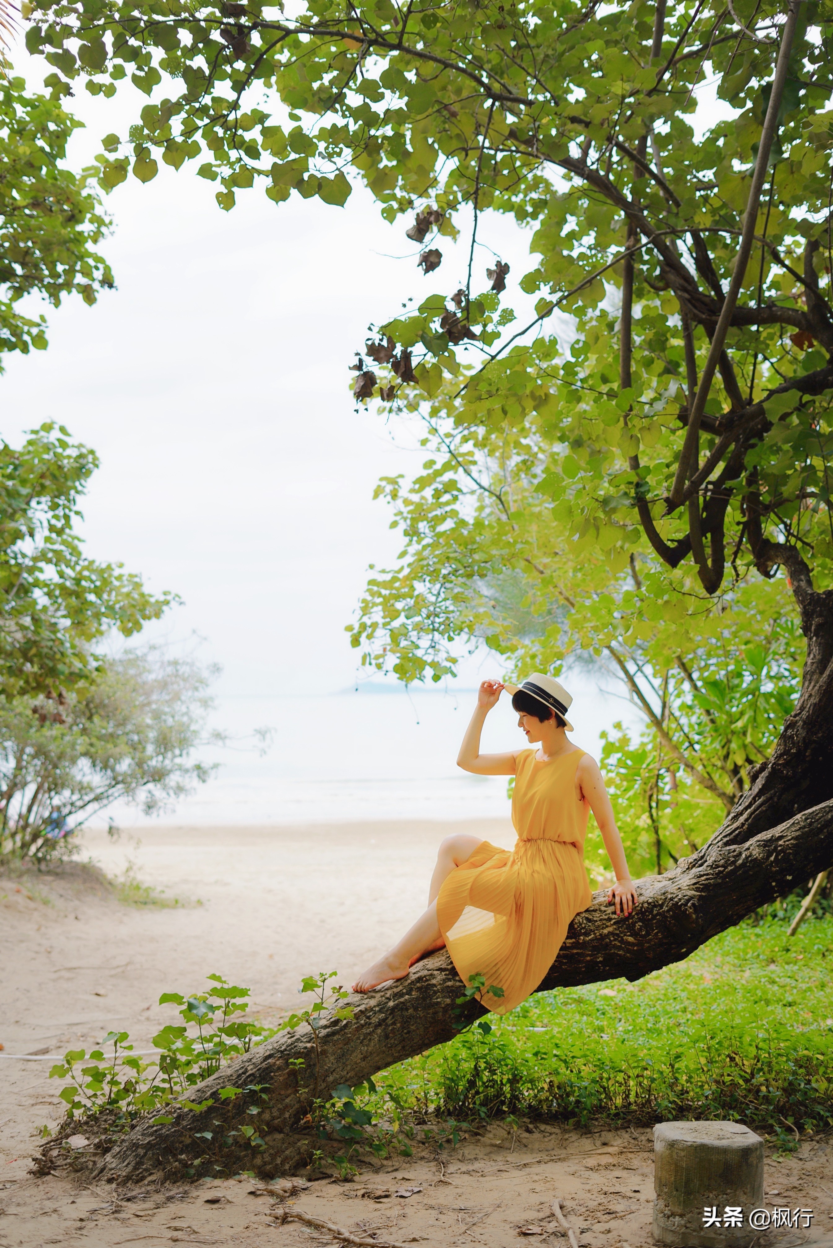 被猴子袭击，门票昂贵，拍照被轰，被我全程吐槽的三亚到底值不值