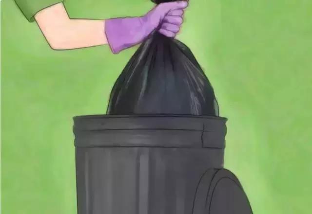 目前最有效的灭蟑螂方法,四种灭蟑螂的方法哪种更适合你