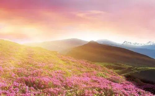 全部的成语收藏起来回家教给孩子,如何和孩子一起积累成语