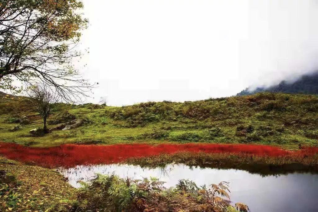 红了！黑竹沟迎来颜值巅峰，分分钟带你穿越五彩童话世界