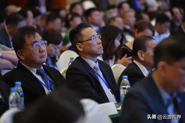 两岸企业家峰会七彩云南,东盟侨商云南大会