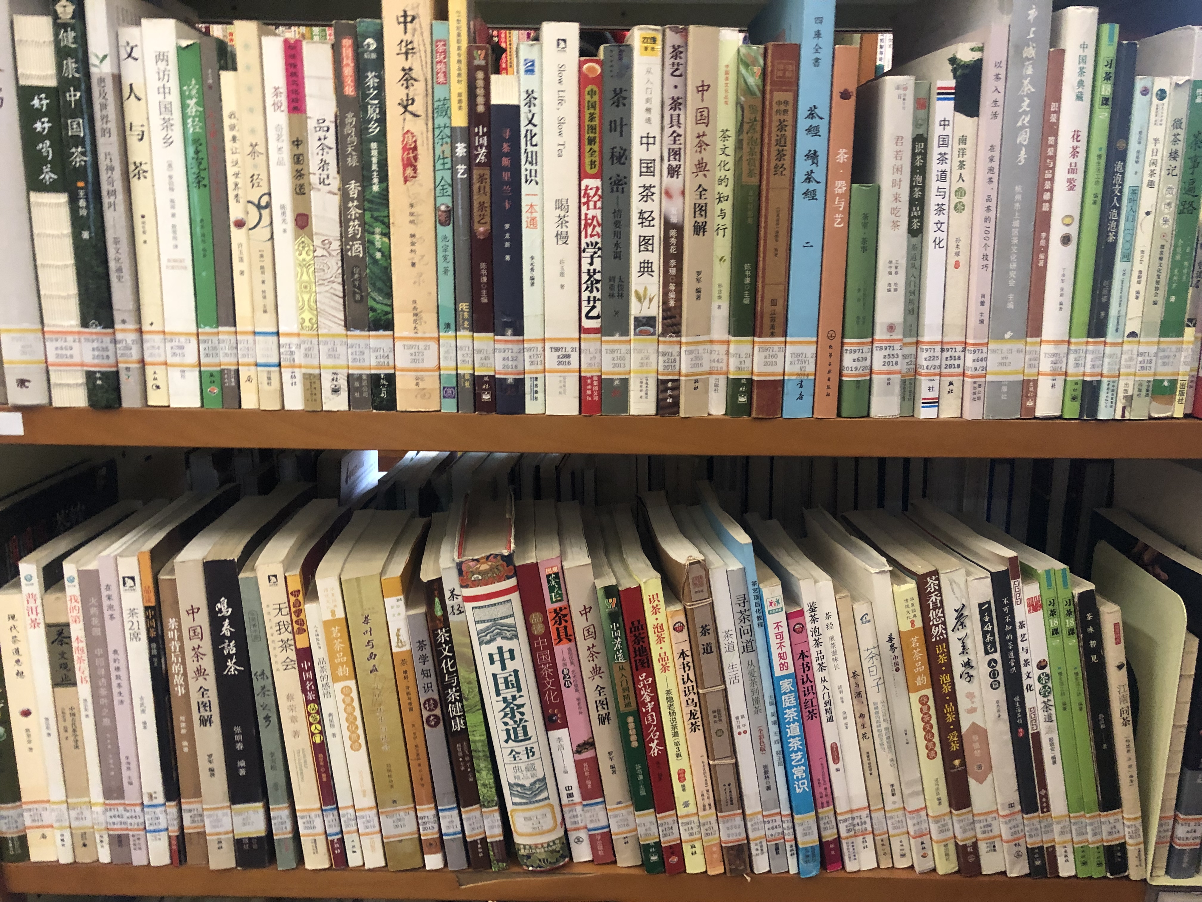 西湖龙井春茶季,龙井茶西湖明前春茶