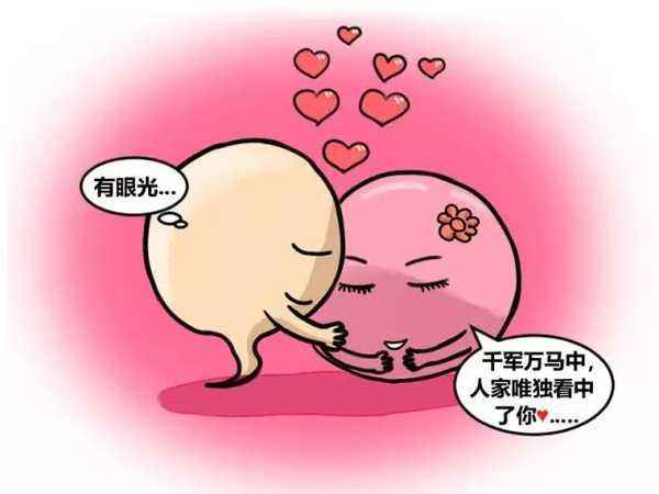 卵子成熟后多久排出备孕知识,卵子一般都在体内存活几天