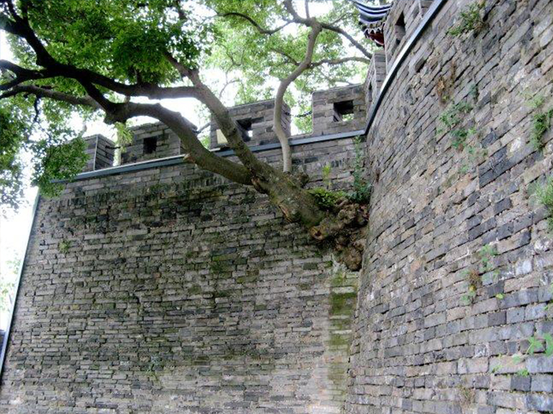 长海现在的情况,长海县状况