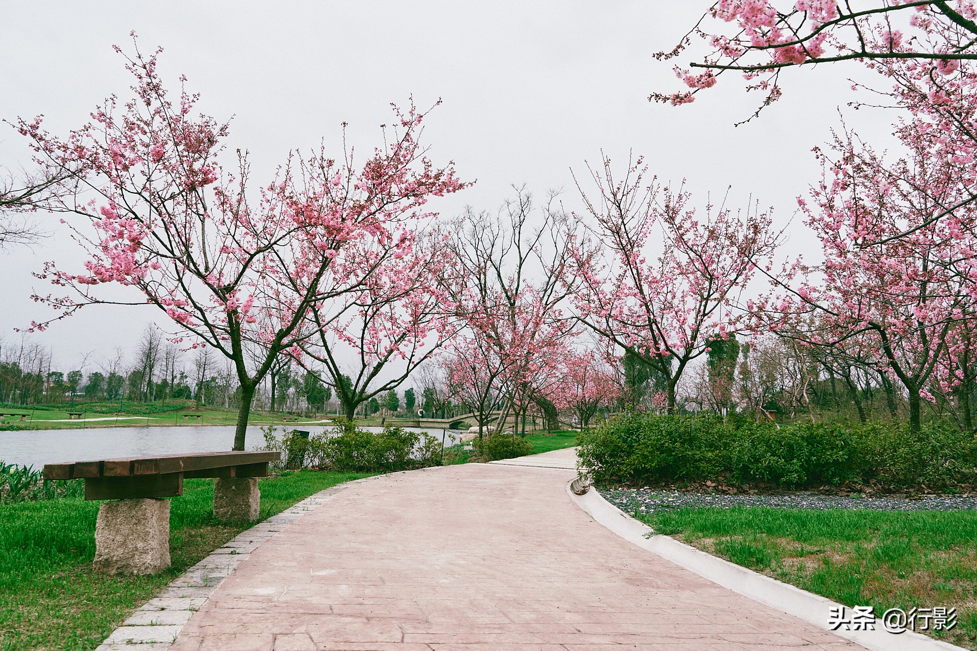 中国的布查特花园，南京溧水三叶梦华苑，圆您春天的花园梦
