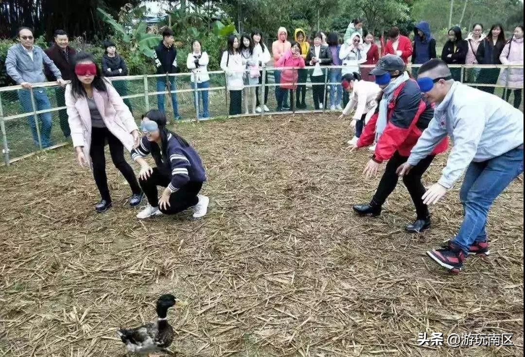 水上龙门与草上鸭场已准备，各位选手请就位