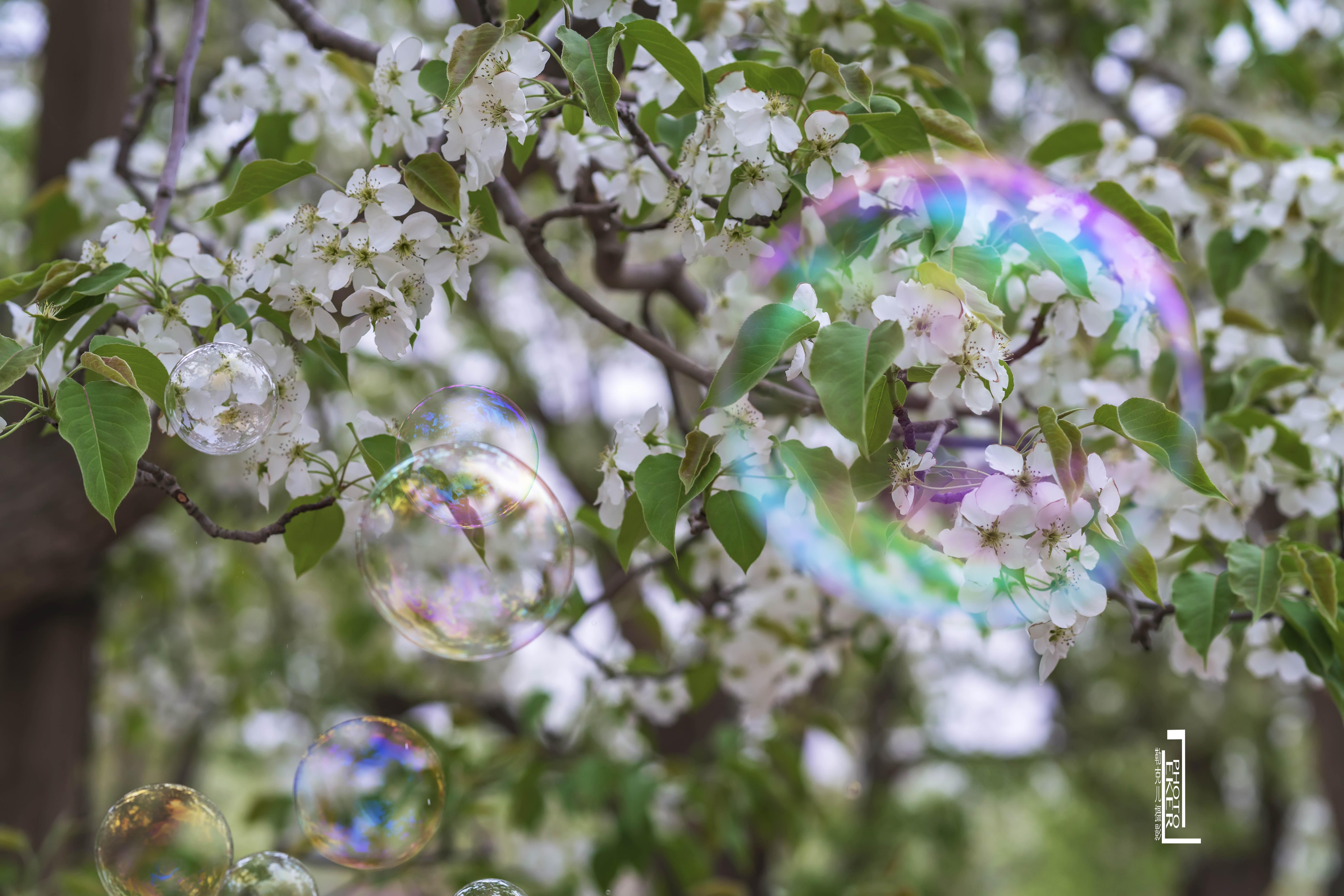 大西北戈壁滩怎么形成的,我国西北地区大戈壁滩形成原因