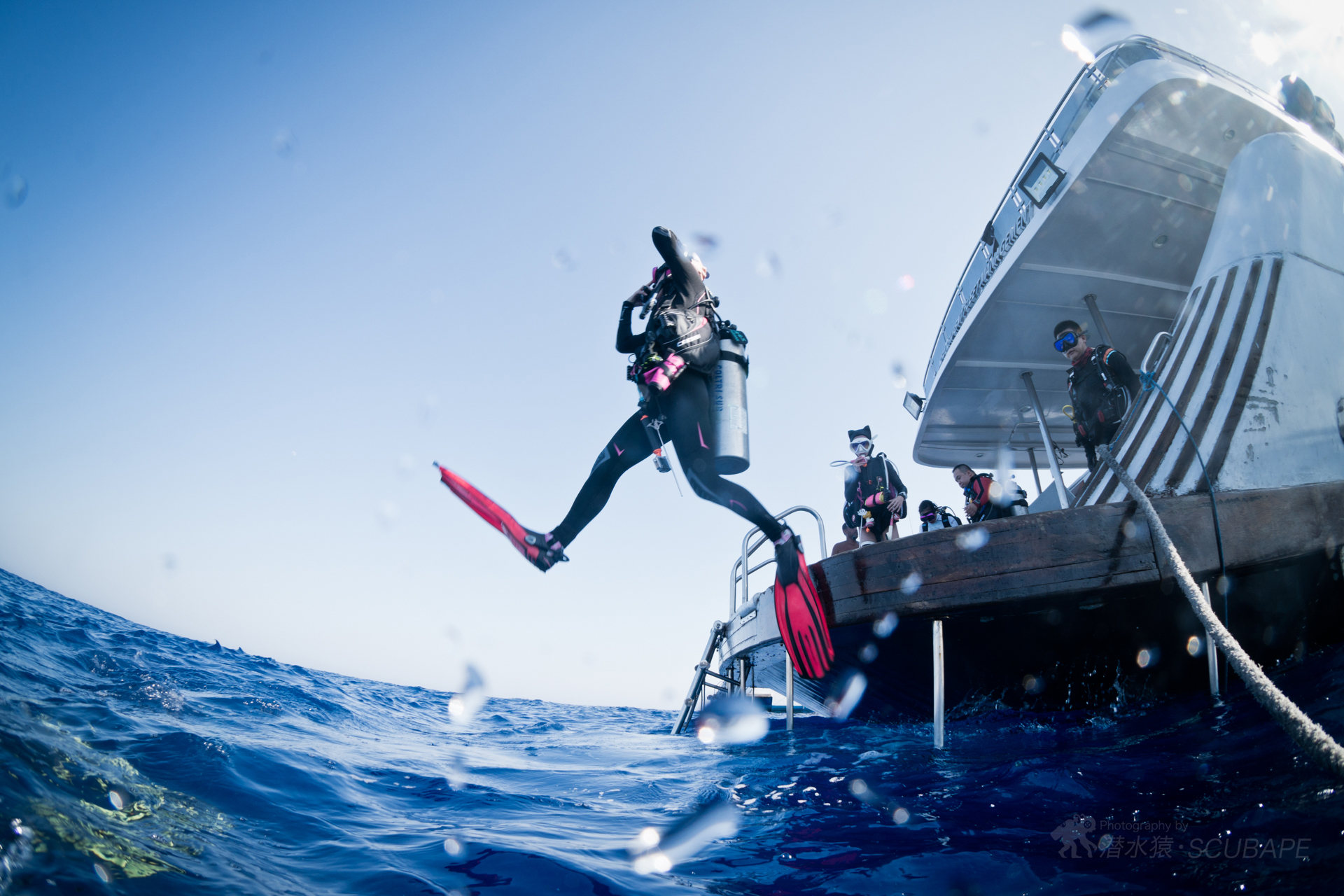 潜水的知识500字,潜水小知识大全