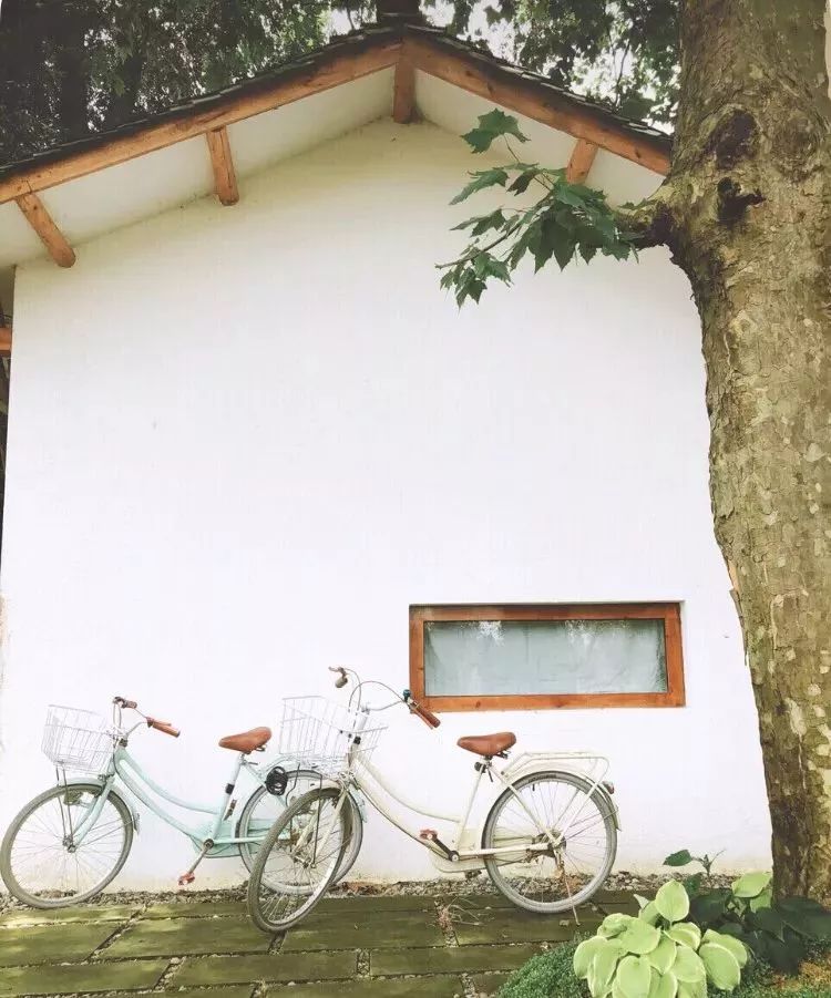 成都出发，一路向西的“旅行列车”年底开通！沿途好多……