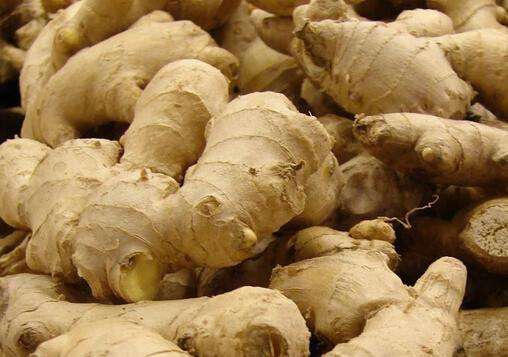 新鲜生姜可以直接晒干保存吗,怎样保存生姜还能天天吃到新鲜姜