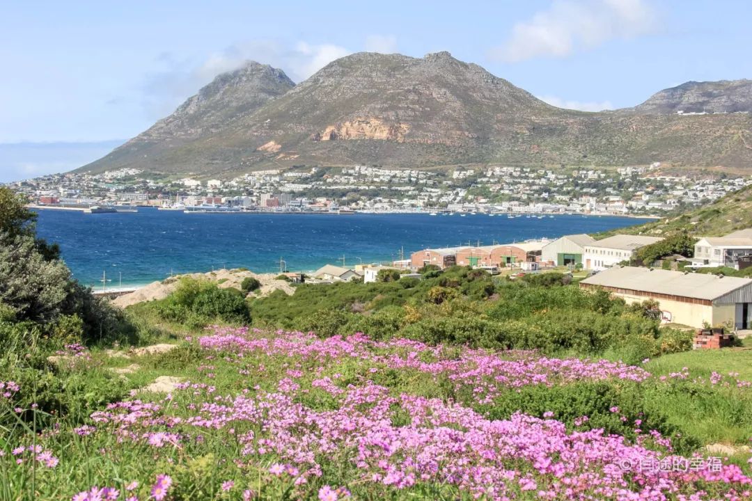 银行卡国外盗刷能破案吗,盗刷国外银行卡立案过程