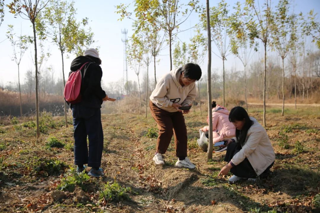 高密作协田野考察（三）乐者电子商务，迎乐科技发布