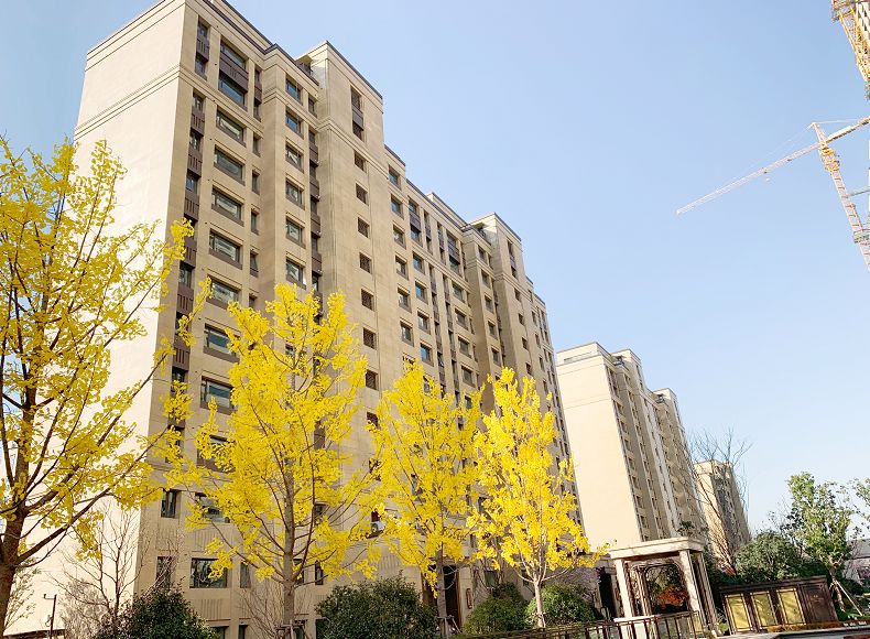 河西中房价,河西中豪宅