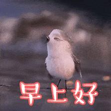 秋冬季必买的日本12款超人气面膜,有一款适合你的面膜