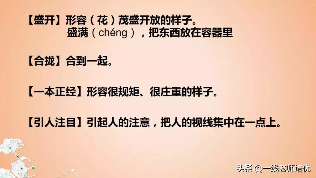 三年级语文金色的草地展现了什么,语文三年级上金色的草地课文讲解