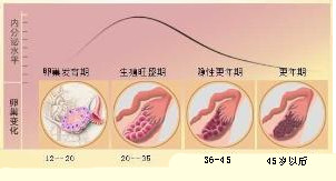 中年妇女围绝经期综合征,女性围绝经期