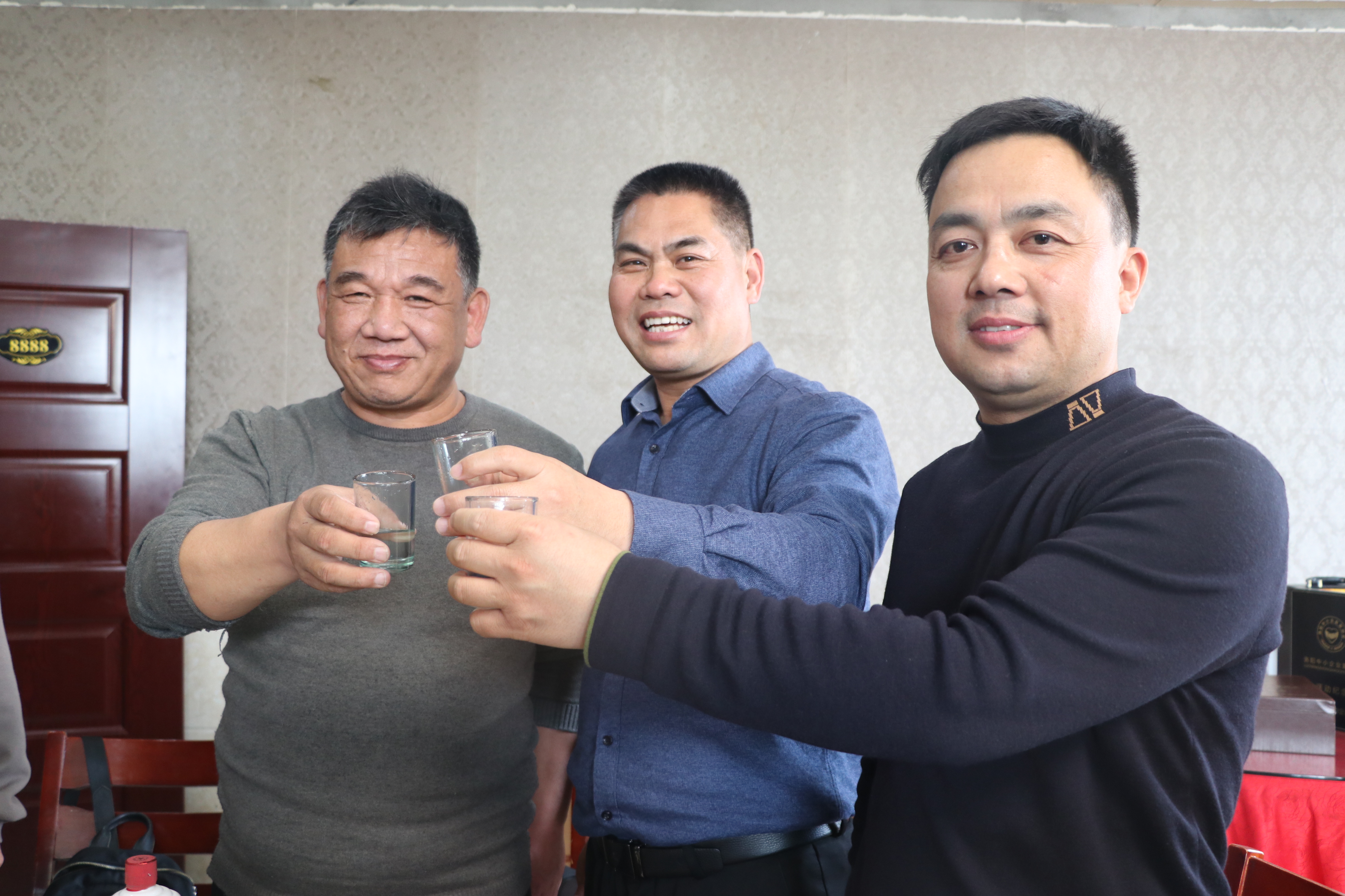 栽下梧桐树引进金凤凰,栽棵梧桐树引来金凤凰