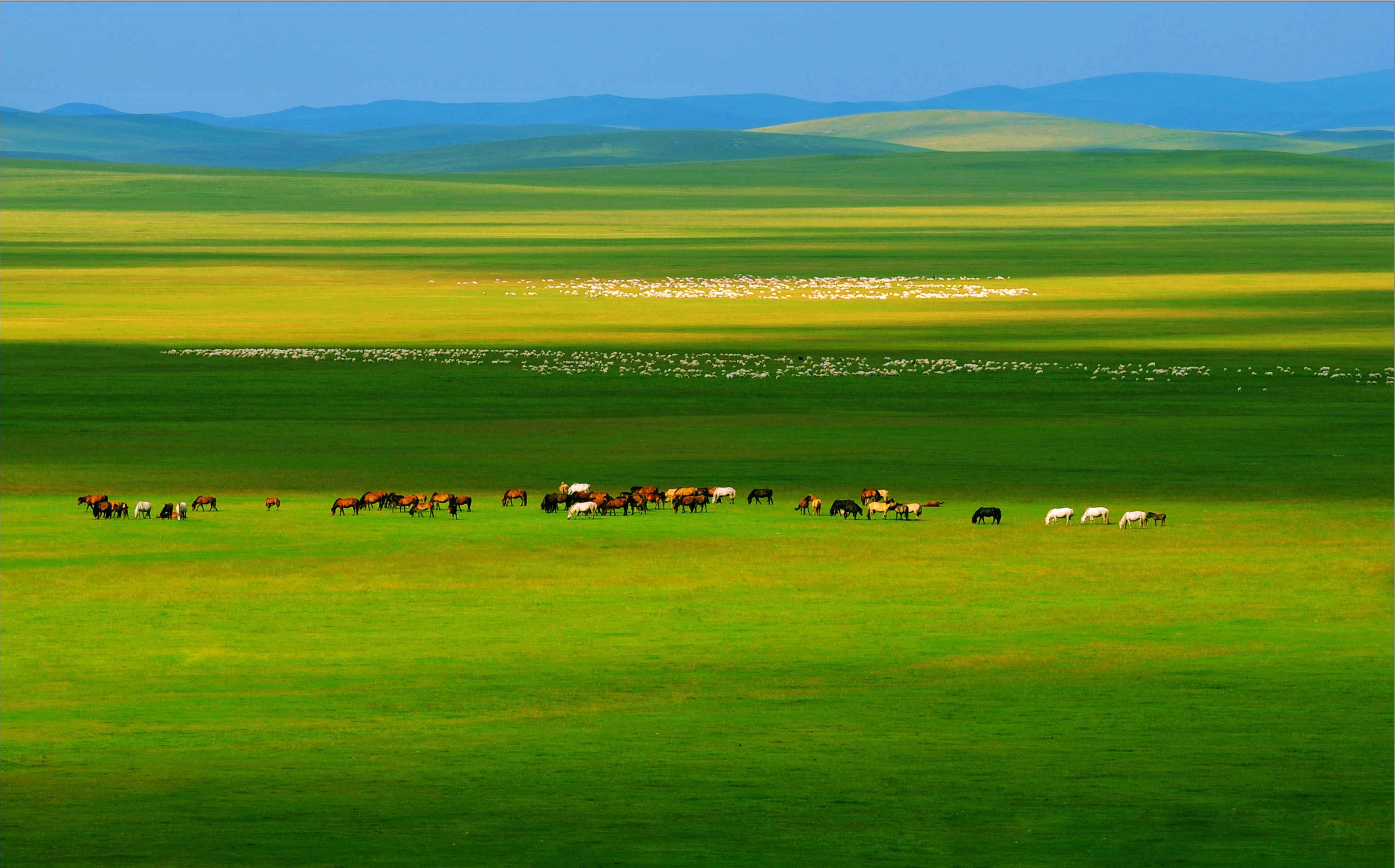 吉尔吉斯人来源于中国？吉尔吉斯人和柯尔克孜族为什么分居两国？