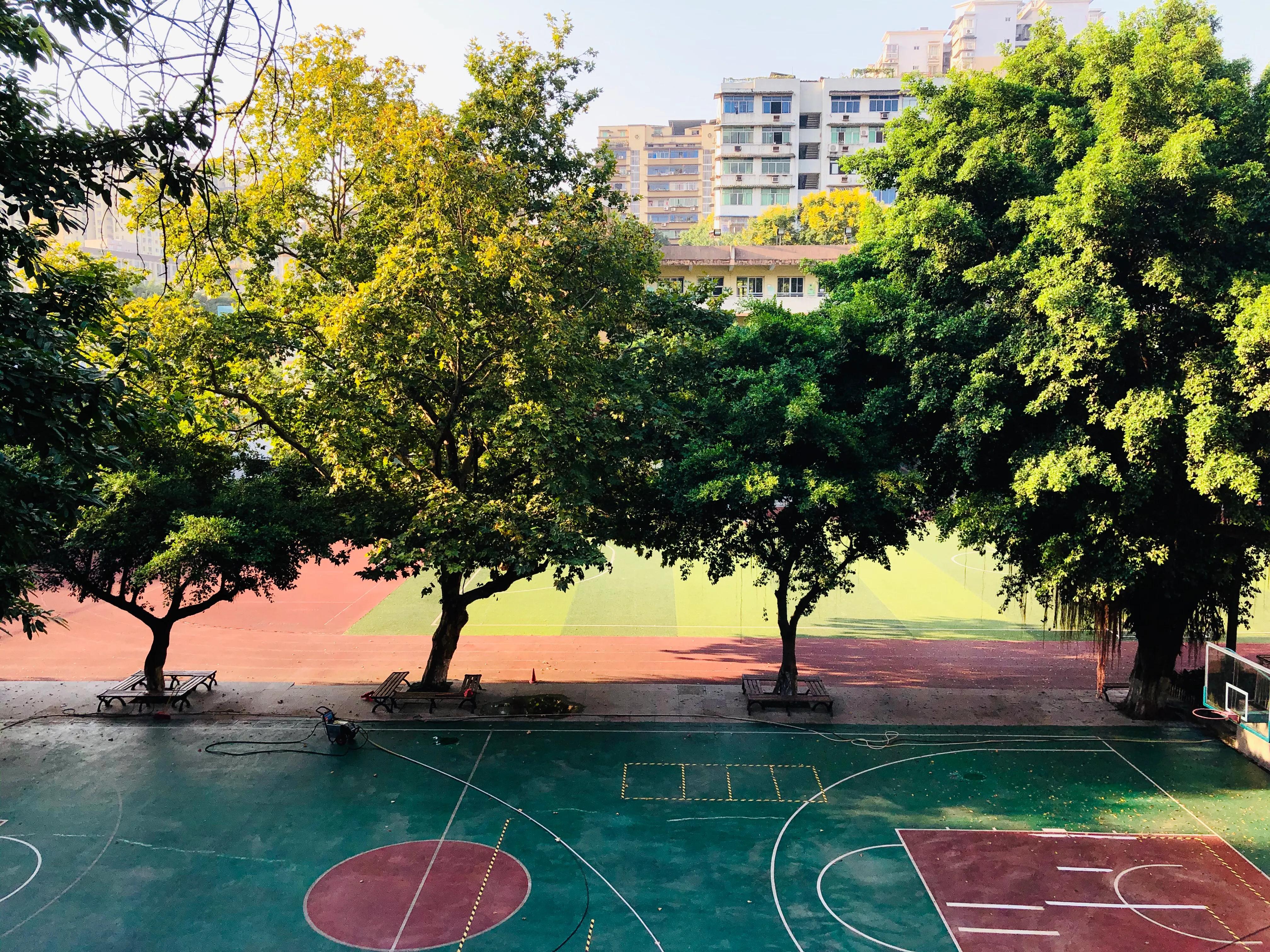 婕閲嶅簡瑙嗛,婕閲嶅簡