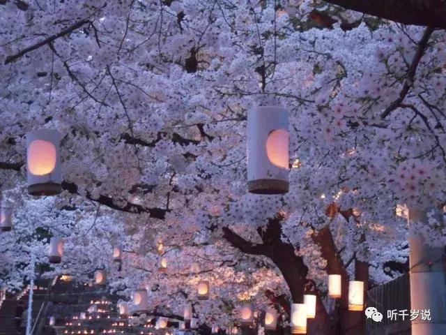 日本熊本县,日本熊本