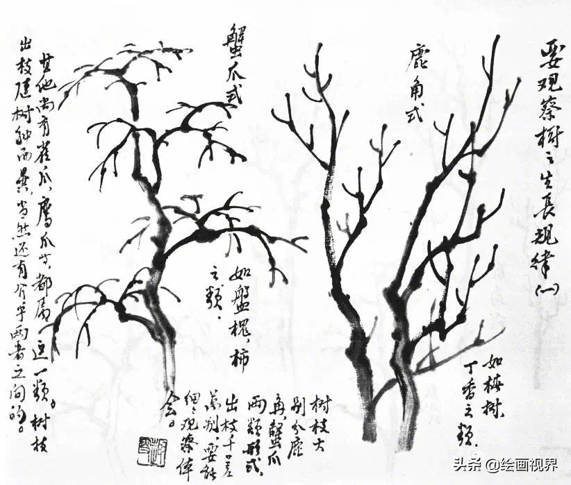 树枝怎么画最简单又好看图,工笔画树的画法视频