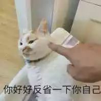 学美留学怎样,学美教育留学