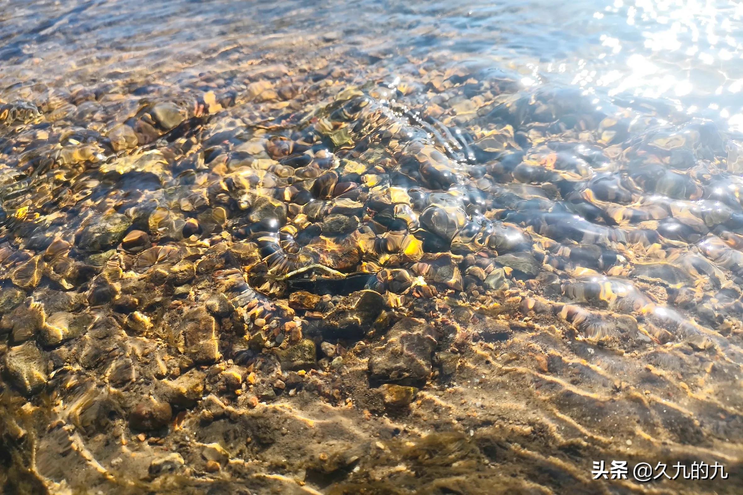 继妻难为,继妻难做