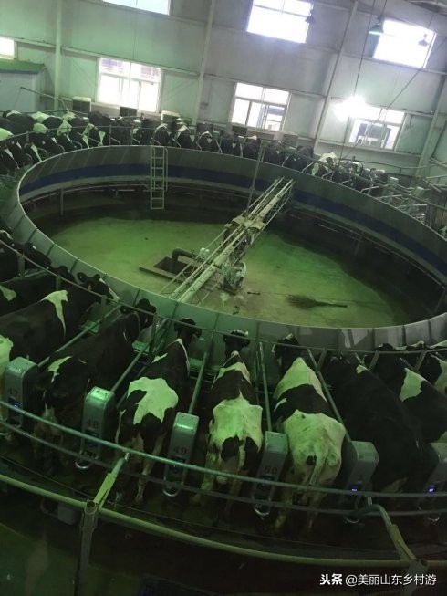 研学游第二十三期：济南佳宝，发现“老味道”的前世今生