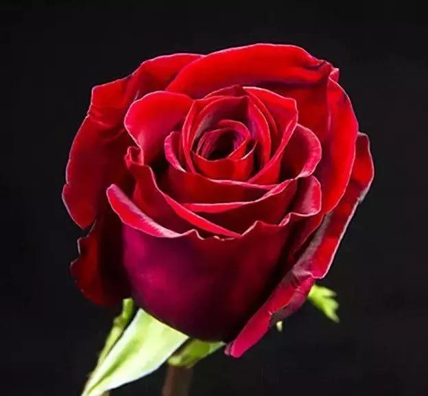 每天学习一点点女性小常识,每天学习一点点科普一下