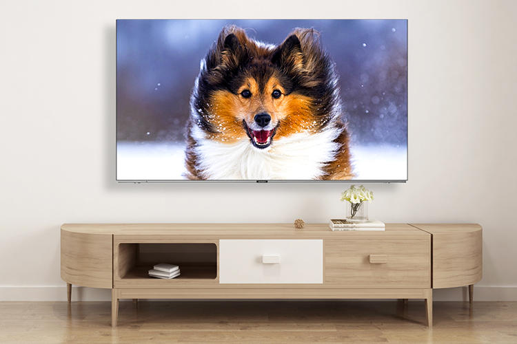 内行人选电视品牌,内行人怎么选电视机好用