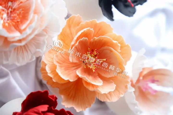 西点烘焙教程在家学英语,学习西点怎么样