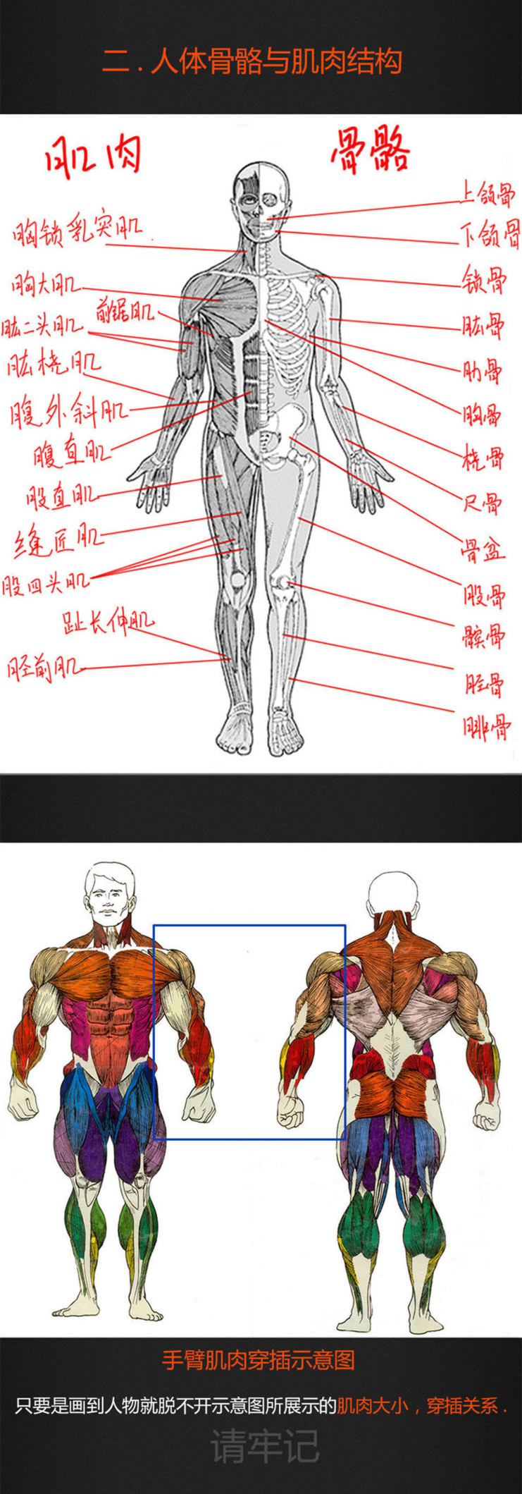 插画原画绘画,插画扁平画临摹