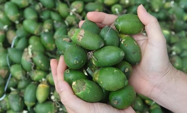 槟榔的一级致癌物是在哪里,槟榔被认定一级致癌物