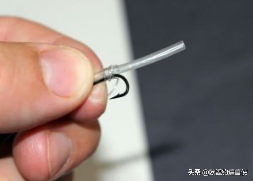 话说欧鲤钓最新消息,话说欧鲤钓鱼完整版