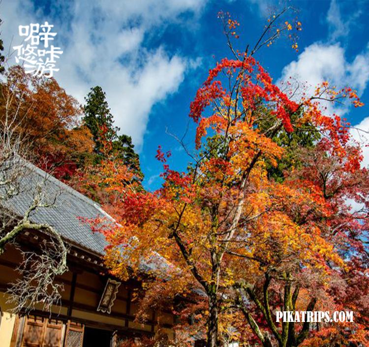 日本京都府旅游攻略,旅行日本京都滋贺