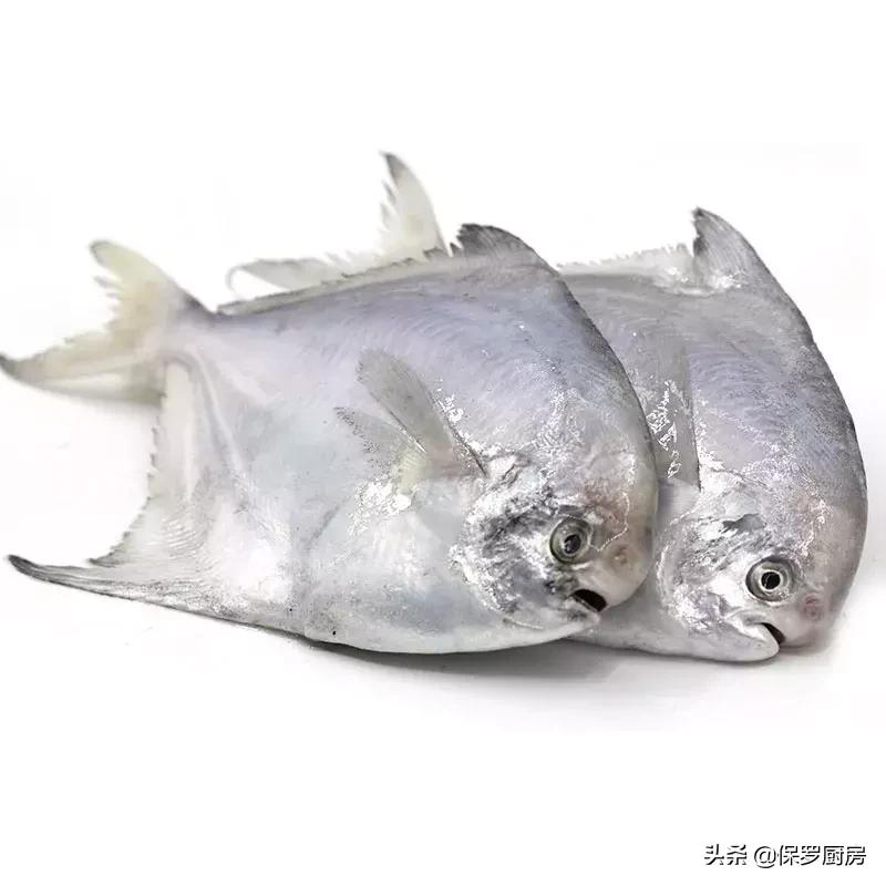 海鲜大荟萃,常见贝壳类海鲜