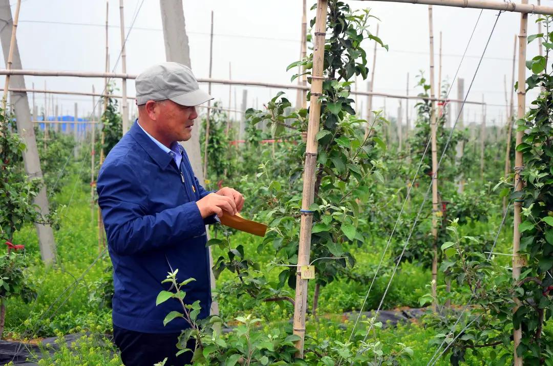 滨海县乡村振兴示范带,推进党建联建助力乡村振兴