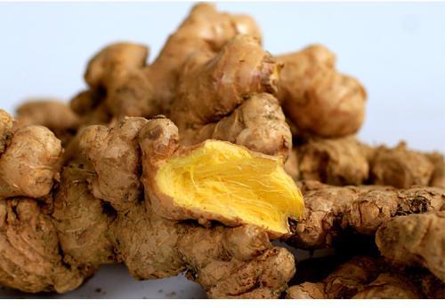 山东寿光生姜高产种植视频,生姜种植是将生姜平放还是竖放