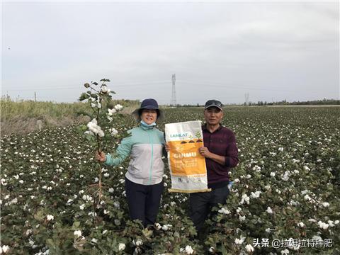 益沛蔬复合微生物菌剂的使用方法,微生物菌剂和什么一起用效果最好