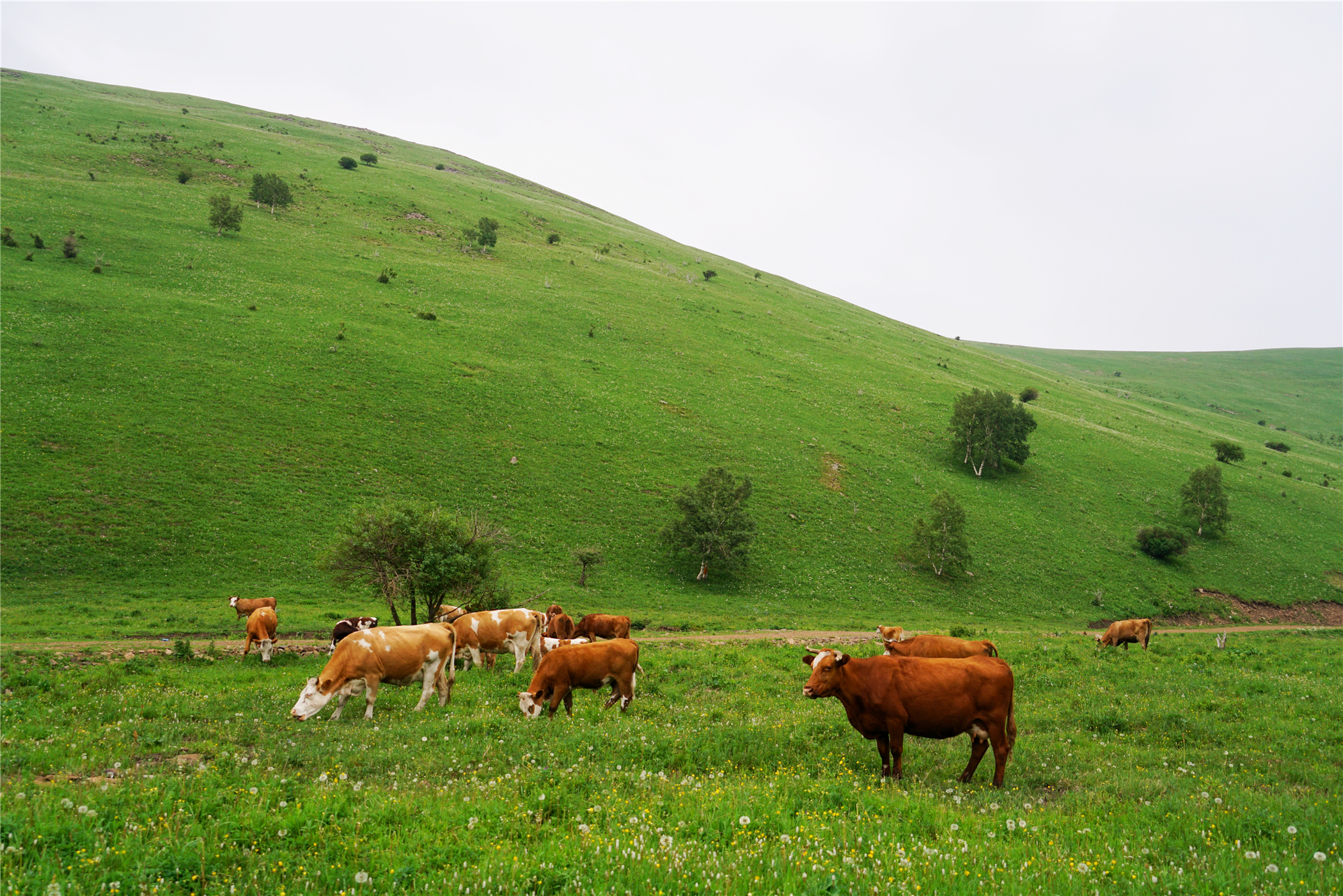 北京自驾避暑旅游攻略,2天一夜避暑胜地自驾游大盘点