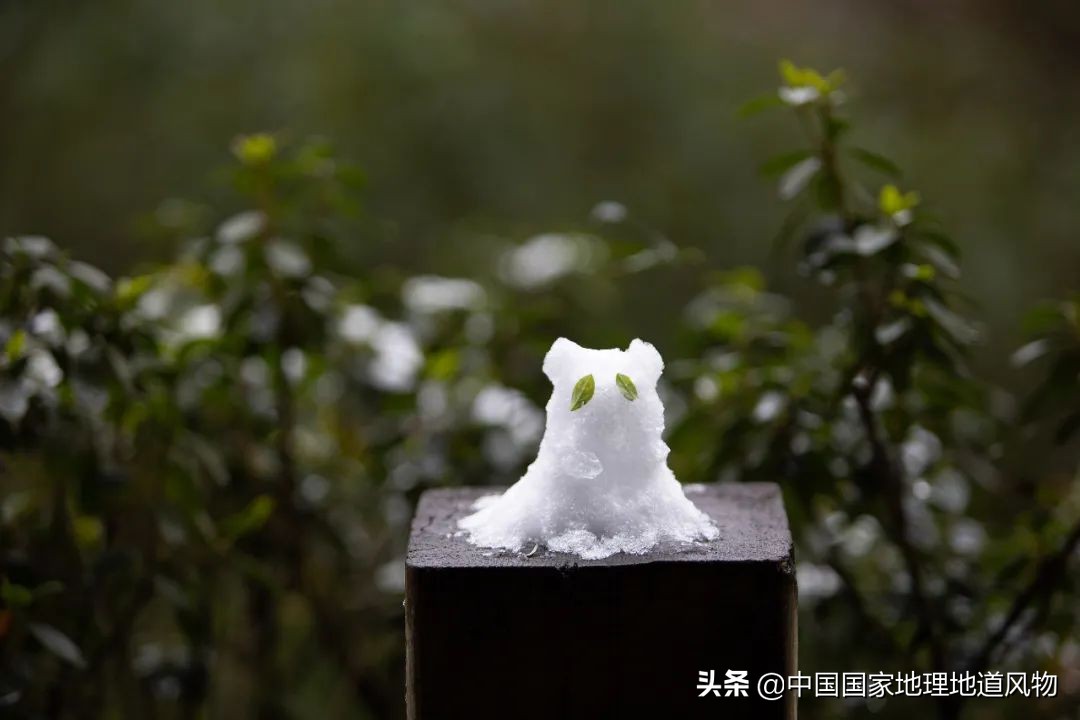 成都是一个安逸的地方吗,成都是个挺安逸的城市