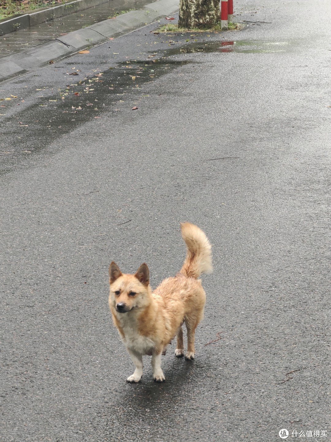 oppofindx2pro对比苹果xr,iphonexr和oppofindx2pro