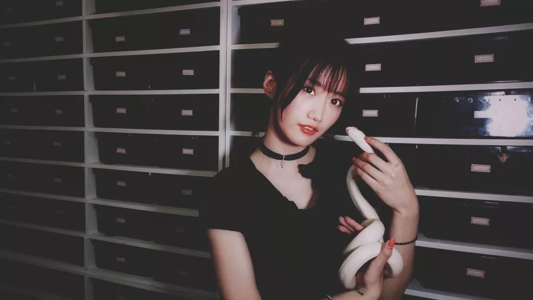 一只鸭子一万五元,一只鸭子一万多