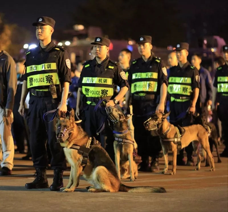 深圳打掉黑势力团伙,深圳涉黑涉恶62人名单