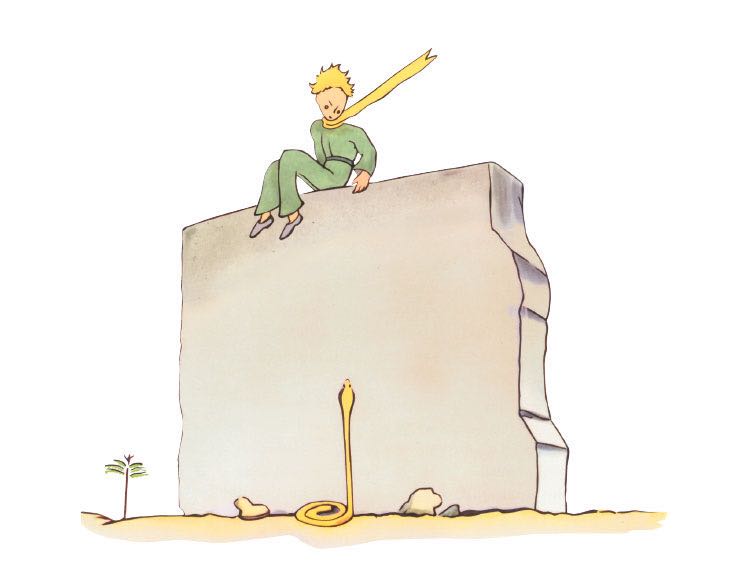 小王子我们是玫瑰片段,小王子我们是玫瑰片段中文版