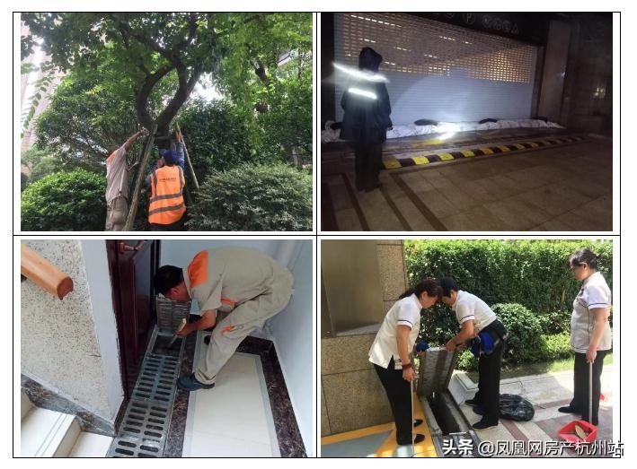 烟花过境商丘,烟花过境安庆